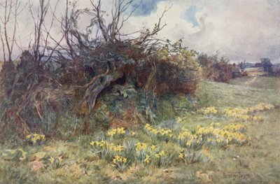 عندما يبدأ النرجس إلى الأقران بواسطة إرنست بينجر أو بيرنجر